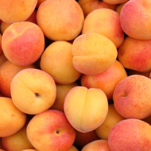 Apricot