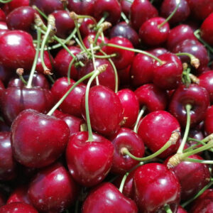Sweet Cherry