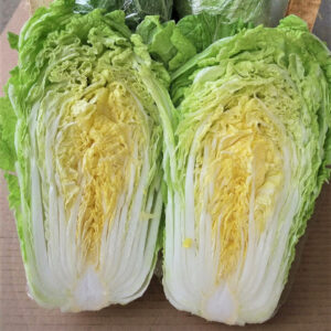 Chinese Cabbage
