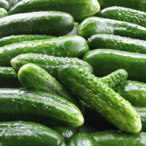 Gherkins, Chornichons for Canning Purpose